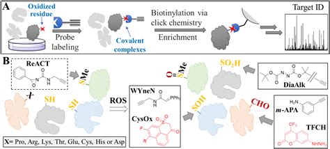Oxidative Stress in Age-Related Neurodegenerative Diseases: An Overview ...