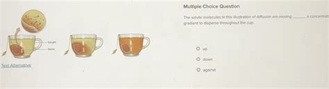 Solved: Question The solute molecules in this illustration of diffusion ...