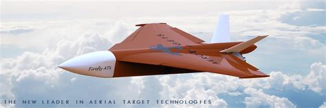 Target Drone 的图像结果