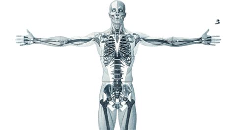 Robot Machine Body 的图像结果