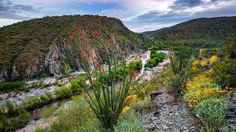 Black Canyon Rim Campground Arizona: Camping & Hiking