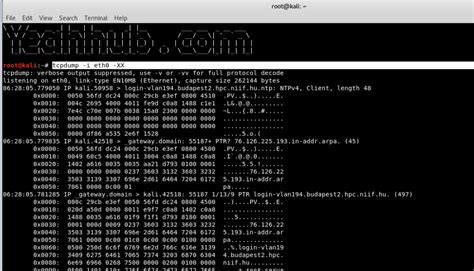 TCPDUMP: 25 Common Command Examples - Yeah Hub
