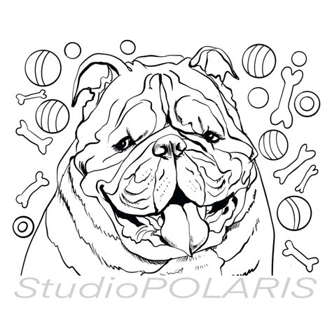 Bulldog Dog Stencil Drawing Bulldogs Bull Stencils Coloring Clipart ...