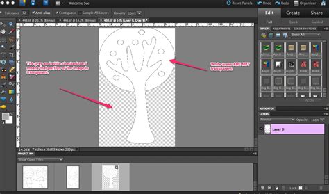 Image result for Adobe Photoshop Elements Tutorials