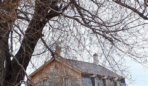 ST. NORBERT PROVINCIAL HERITAGE PARK (2025) All You Need to Know BEFORE ...