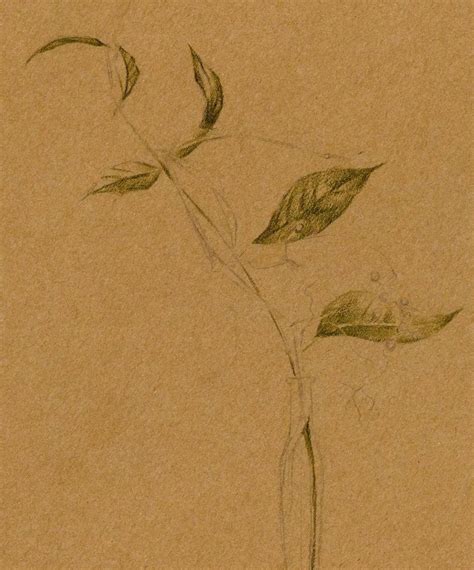 铅笔绘画 的图像结果