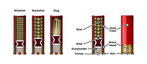 Beginner’s Guide To Shotgun Choke Tubes: Chart & Breakdown | Academy