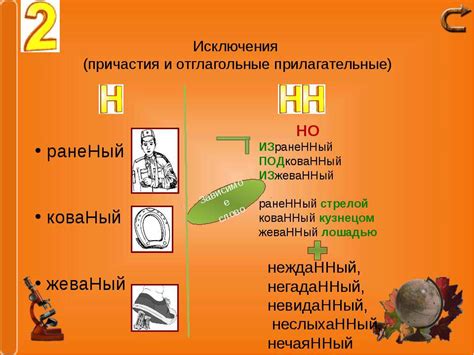 Правописание н и НН в разных частях речи - презентація з російської мови