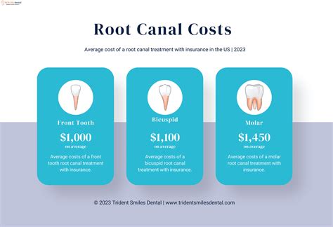 Average Price Of Root Canal: 2026 Cost Breakdown By Tooth Type