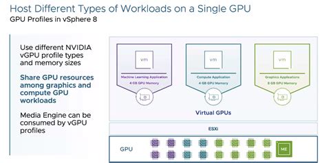 VMware Use GPU 的图像结果