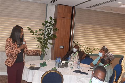 Gallery – TL First Consulting Group