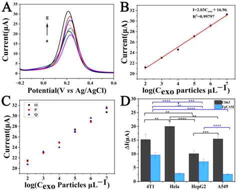 High-Performance Detection of Exosomes Based on Synergistic ...