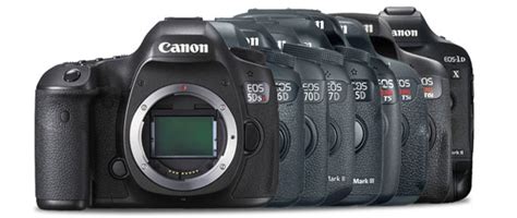 Canon Camera DSLR Models 的图像结果