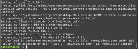 Zoom Client Linux 的图像结果