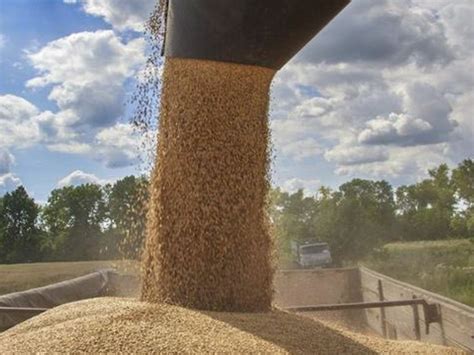 No result of two days of talks with African leaders, Russia can help ...