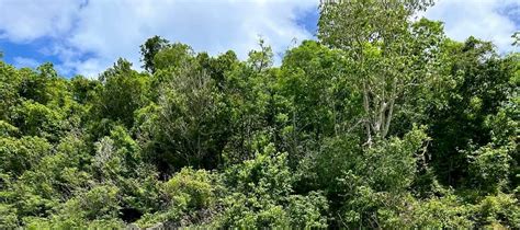 Discover Guimaras on a Private Half-Day Island-Hopping Tour - Klook
