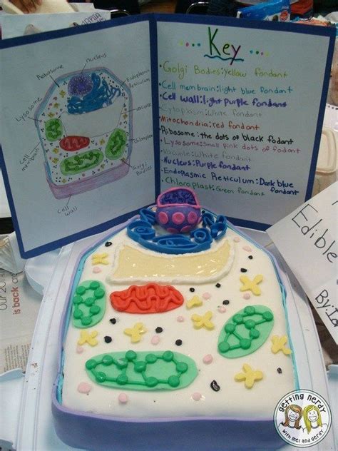 Tutorials for Cells 的图像结果