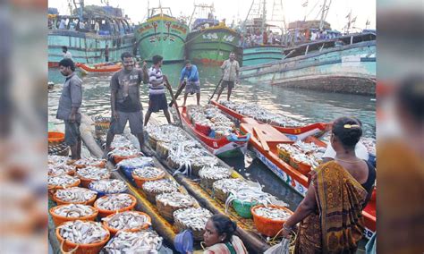 Fewer takers for fish, vendors attribute it to holy month