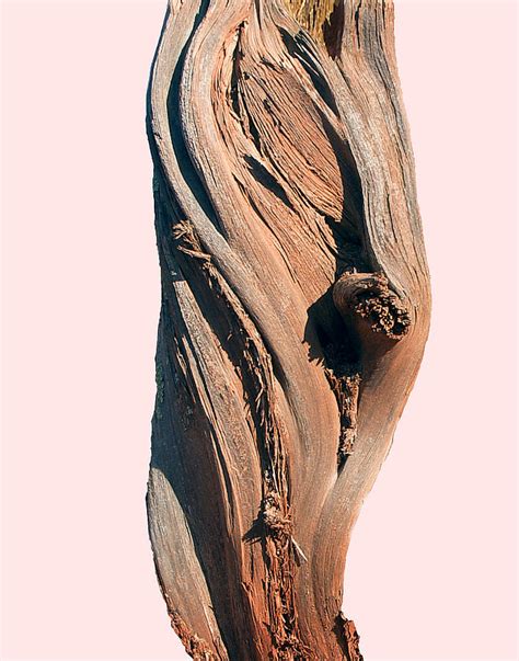 Image result for Undulation Technique