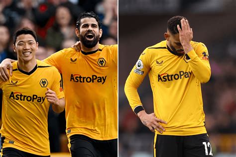 Image result for Wolves Come Back