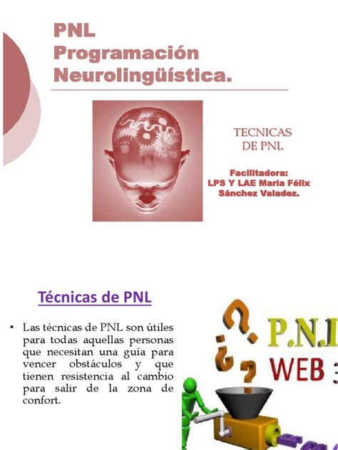 Technique PNL 的图像结果