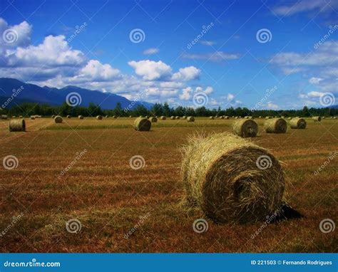 Farmland 的图像结果