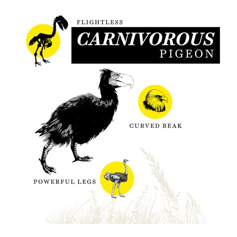 Future Animals Evolution 的图像结果