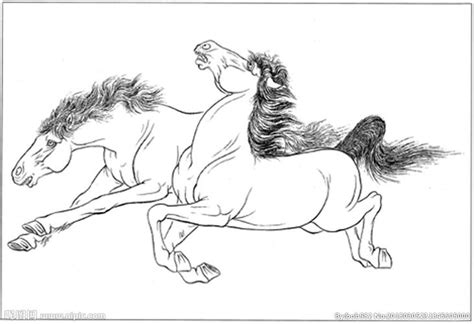 骏马简笔画 的图像结果