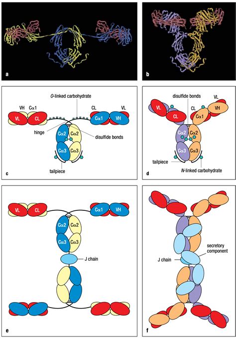 Addressing Dr. Christina Parks's Claims — Deplatform Disease