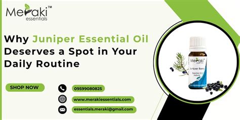 Why Juniper Essential Oil Deserves a Spot in Your Daily Routine ...