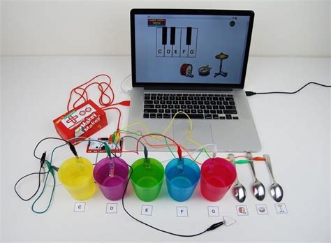Image result for MaKey MaKey Animal