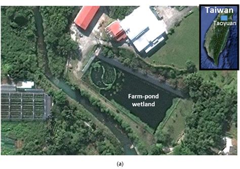 Flume Experiments for Optimizing the Hydraulic Performance of a Deep ...