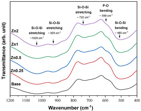 Fabrication, Structural and Biological Characterization of Zinc ...