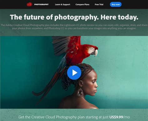 Helpx.Adobe.com Tutorial 的图像结果