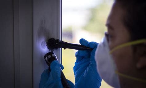 Crime 的图像结果