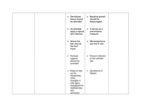 SOLUTION: Burns nursing care plan risk for infection - Studypool