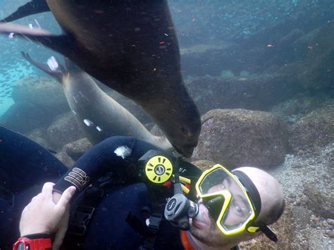 Scuba Dive La Paz - Adventures in Baja