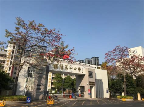 揭阳学考成绩查询入口网站（https://eea.gd.gov.cn/）_学习力