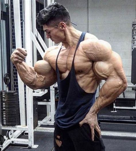 Morphs By Hardtrainer01 - Artists Showcase - Muscle Growth Forums | Gym ...