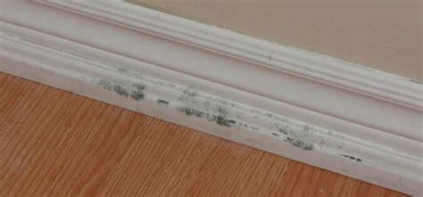 Coretec Problems 的图像结果