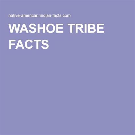Washoe Tribe Lake Tahoe Basket Traditions