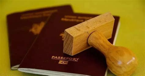 "现在想出国游能办理护照吗"，国家移民局回复_有人欲办护照出游 移民局建议推迟_出入境_个人