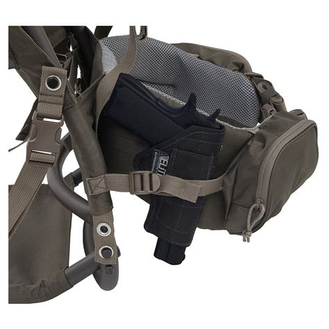 Image result for Alps Commander Frame Pack Review