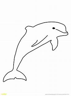 bilder zum ausmalen delfin delfin bilder zum ausmalen und ausdrucken mandalanoel store bilder zum ausmalen delfin delfin bilder zum ausmalen und ausdrucken mandalanoel store