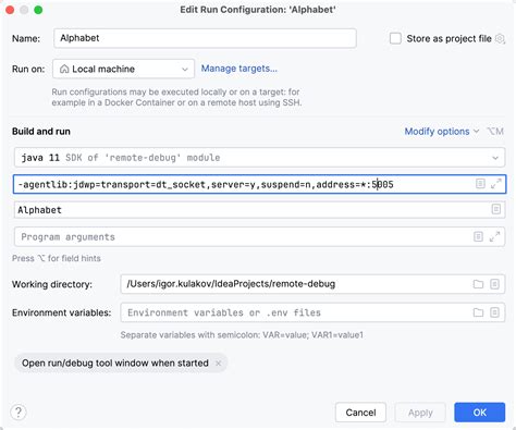 Remote Debug 的图像结果