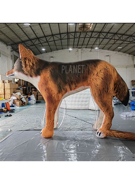 Image result for Inflatable Wolf