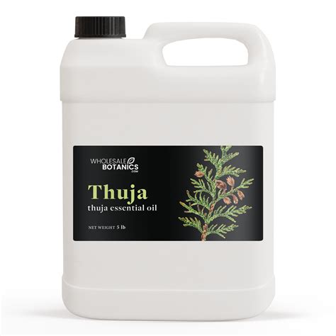 Thuja Essential Oil — Wholesale Botanics