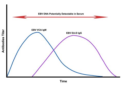 Long COVID and severe COVID-19 infections ass | EurekAlert!