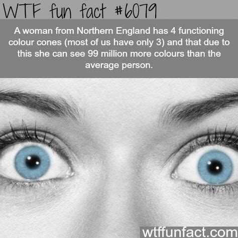 Image result for Super Random Facts
