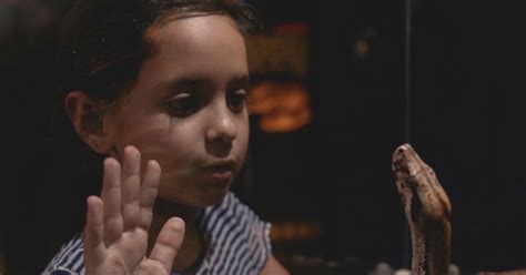 Image result for Freecodecamp WordPad in Python